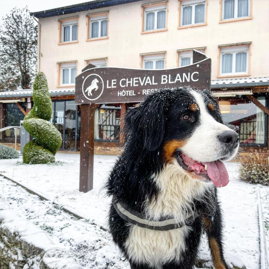 Le Cheval Blanc - Lac Du Der - Logis Hotel Giffaumont-Champaubert Exterior photo